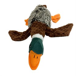 Duck Toy